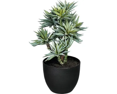 Produktbild von Kunstpflanze im Topf Höhe: 30 cm grün