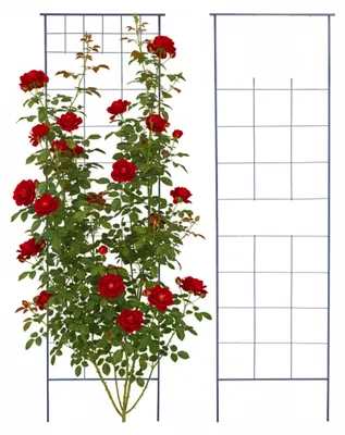 Immagine prodotto di Grate per rampicanti Relaxdays, set da 2 pezzi, A x L 193 x 58 cm, metallo, supporto per piante rampicanti, giardino, supporto per rose, nero