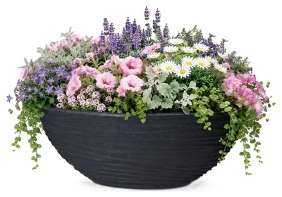 Produktbild von Pro Garden Pflanzschale - Kunststoff - Anthrazit - Durchmesser 51 cm