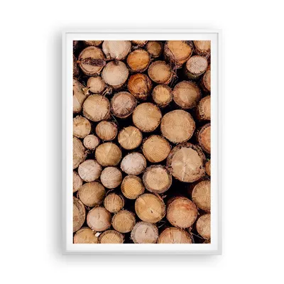 Produktbild von Gerahmtes Poster - Weißer Rahmen - Holz Baumstämme Stämme - 70x100 cm - Wand Bild - Wanddeko - Wandbilder - Kunstposter - Wandposter - Bilderrahmen - Bilder - Kunstdruck - P2WPA70x100-4864