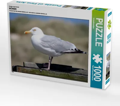 Produktbild von Calvendo Ein Motiv aus dem Kalender MÖWEN 1000 Teile Puzzle quer 640x480mm, CALVENDO; 7280470