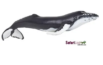 Produktbild von Safari Ltd 202029 Buckelwal 17 cm Serie Wassertiere