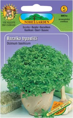 Immagine prodotto di Basilico nano Nohel Garden