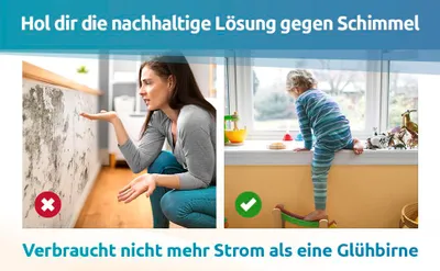 Obrázek produktu pro Schimmel Dry - Odstraňovač plísní na stěny a do koupelny - Bez chemikálií Forever Mold-Free - Alternativa k barvám na plísně ve spreji a na plísně