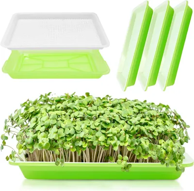 Produktbild von Samenbehälter-Set – Sprossen-Anzuchtschalen – Für den Anbau von Mikrogrün – Mit Sieb – 3 Stück – Grün