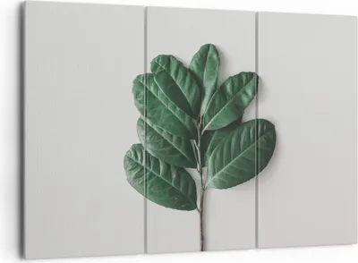 Produktbild von Bild auf Leinwand - Leinwandbild - 3 Teile - Blätter Pflanzen Botanik - 165x110cm - Wand Bild - Wanddeko - Wandbilder - Leinwanddruck - Bilder - Wanddekoration - Leinwand bilder - CE165x110-4956