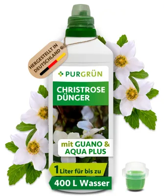 Produktbild von Purgrün Christrose-Dünger 1 Liter