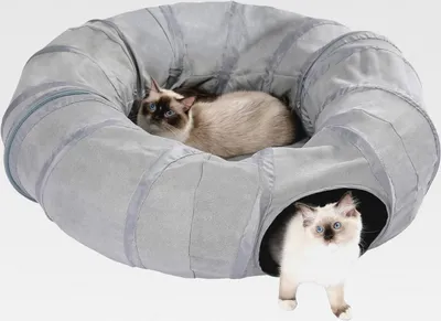 Produktbild von Upgrade Katzentunnel, modernisiertes Katzenspielzeug, kreisförmiger Tunnel für Katzen, Grau