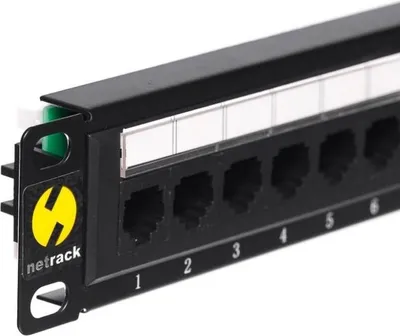 Zdjęcie produktu dla Netrack NETRACK 104-14 patch panel 10 12-ports