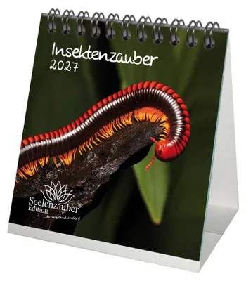 Produktbild von Insektenzauber Tischkalender 10x10cm für 2027 - Seelenzauber