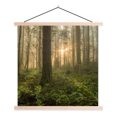 Produktbild von MuchoWow® Textilposter Wald - Sonne - Licht 60x60 cm mit holzfarbenen Rahmen - Wanddekoration