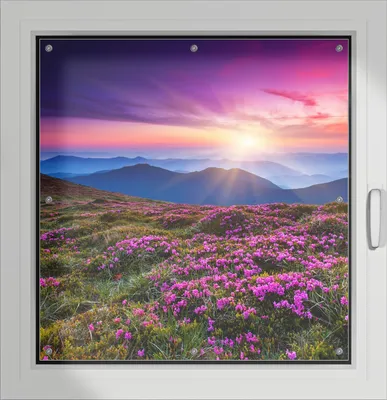 Produktbild von Wallario Lichtschutzbild, Dekorativer Sichtschutz Sonnenschutz 96 x 93 cm mit Motiv: Blumenbedeckte Wiese bei Sonnenuntergang - Verdunklung ohne Bohren