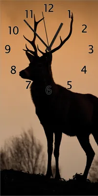 Produktbild von Wallario Design Wanduhr bedruckt, Größe 30 x 60 cm, Motiv: Rothirsch am Abend