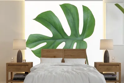 Produktbild von MuchoWow® Fototapete für Wohnzimmer oder Schlafzimmer Wandtapete Vinyl Motivtapete Botanisches Blatt auf weißem Hintergrund - 300x300 cm - Wanddekoration