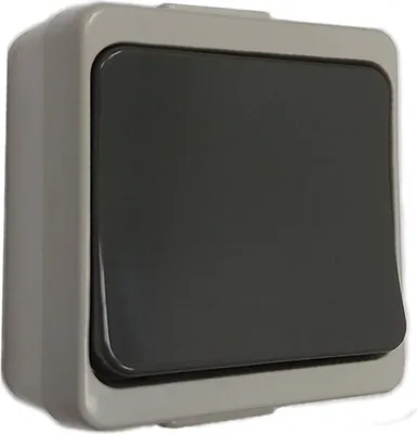 Produktbild von Grau Aufputz Klingeltaster WNT-7JB SZ