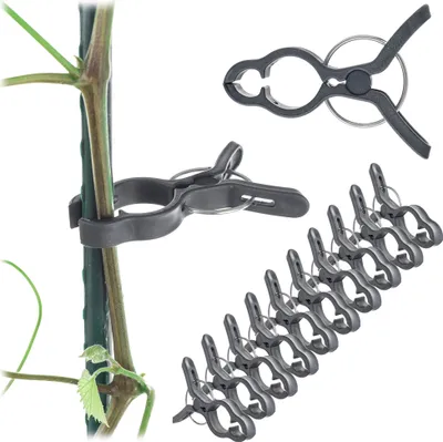 Produktbild von KADAX Clips für Tomaten Pflanzen Bohnensprossen Stängel Clips 10 Stk