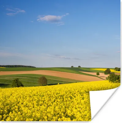 Produktbild von MuchoWow® Poster Frühling - Blumen - Gelb 50x50 cm - Wohnzimmerdekoration
