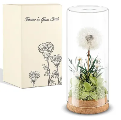 Produktbild von Elzusha - Pusteblume, konservierte Blumen im Glas – Ein wunschverwirklichendes Geschenk für Frauen