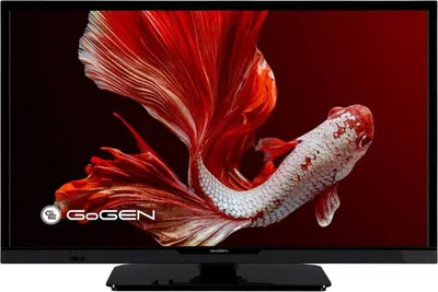 Zdjęcie produktu dla Telewizor GOGEN TVH 24P452T, czarny