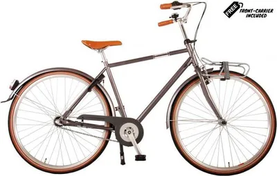 Obrázek produktu pro Lifestyle 28 palcový 43 cm pánský 3G tácek brzda šedá