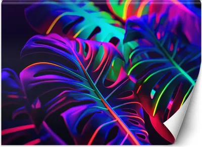 Produktbild von Vlies fototapete Monstera-Blätter in Neonfarben 200x140 cm Feeby Bunt inkl. Kleber einfache Montage