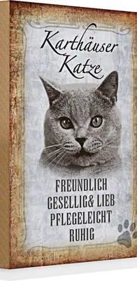 Produktbild von Holzschild Spruch 20x30cm Karthäuser Katze lieb