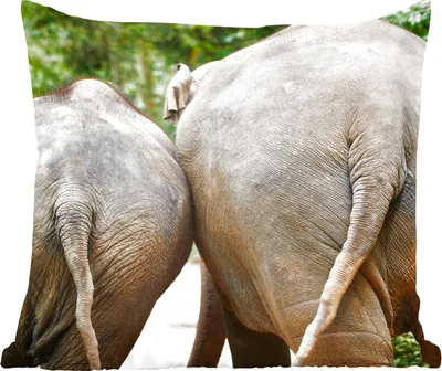 Produktbild von MuchoWow® Zierkissen Sofakissen Wohnzimmer Dekokissen 40x40 cm Elefant - Tiere - Grau - Natur - Foto Kissen - Schlafzimmer Dekoration
