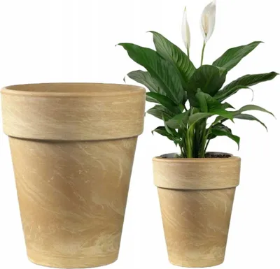 Two terracotta pots, one empty and one with a peace lily plant, are shown against a white background.