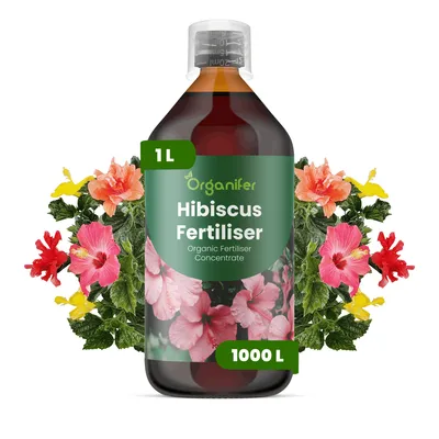 Produktbild von Hibiskus Flüssigdünger 1L – 2-1-8 NPK – Flüssig-Pflanzendünger für Hibiskuspflanzen – Organifer