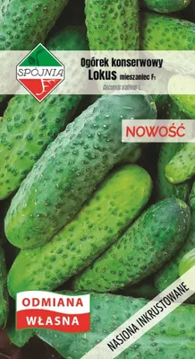 Zdjęcie produktu dla NASIONA Ogórek konserwowy Lokus Mieszaniec 5g SPÓJNIA 400878