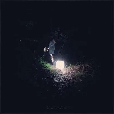 Produktbild von Saddest Landscape,The-Darkness Forgives