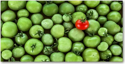 Produktbild von Tulup Glas-Bild -140x70- Wandkunst Dekorative Wand für Küche & Wohnzimmer - Essen & Getränke - Reife Tomate - Rot
