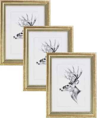 Produktbild von WOLTU 3er-Set Bilderrahmen Artos Stil Holz Rahmen Fotogalerie Glasscheibe, Gold 40x50 cm