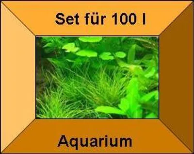 Produktbild von 3 Töpfe + 3 Bund Wasserpflanzen, Aquarienpflanzen