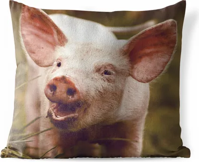 Produktbild von MuchoWow® Outdoor Kissen - Schwein - Porträt - Tier - 40x40 cm - Wetterfest - Lounge Kissen - Kopfkissen - Interieur - Polster mit Bild
