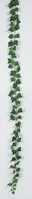 Produktbild von Künstlicher Efeu Engl. MINI-EFEUGIRLANDE ca 180cm. GRÜN