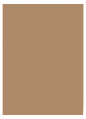 Immagine prodotto di folia 6375 folia Tonpapier, DIN A3, 130 g/qm, rehbraun