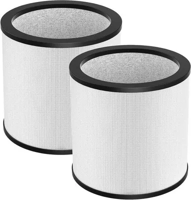 Image de Lot de 2 filtres True HEPA pour purificateur d'air