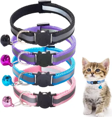 Produktbild von Famanu Katzenhalsbanden 4er-Pack mit Sicherheitsverschluss - Schwarz, Rosa, Blau, Lila