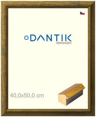 Zdjęcie produktu dla Ramka DANTIK 40x50 | Forgia Gold (szkło przezroczyste)