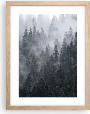 Produktbild von Gerahmtes Poster - Rahmen in heller Eiche - Wald Baum Natur - 30x40 cm - Wand Bild - Wanddeko - Wandbilder - Kunstposter - Wandposter - Bilderrahmen - Bilder - Kunstdruck - Wandbild - P2NPA30x40-4074
