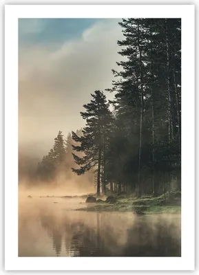 Produktbild von Poster - Poster ohne Rahmen - Nebel See Wald - 50x70 cm - Wand Bild - Wanddeko - Wandbilder - Kunstposter - Wandposter - Bilder - Kunstdruck - Wanddekoration - Wandbild - P2XPA50x70-4440
