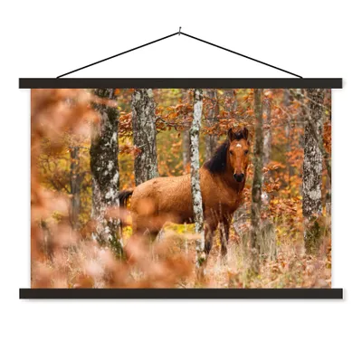 Produktbild von MuchoWow® Textilposter Pferd - Wald - Braun 90x60 cm mit schwarzem Rahmen - Aufhängungssatz