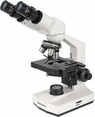 A white Bresser Mikroskop Erudit Basic microscope is shown against a white background.