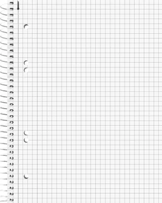 A blank sheet of graph paper from a spiral-bound notebook.