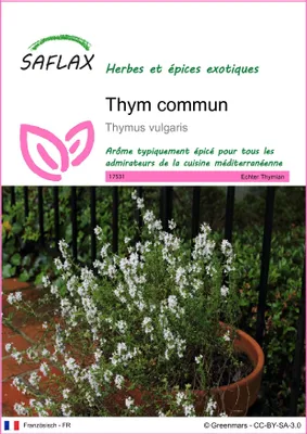 Image de SAFLAX  - Thym commun - 200 graines - Thymus