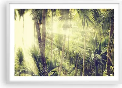 Produktbild von Gerahmtes Poster - Weißer Rahmen - Morgendämmerung Dschungel Palmen - 70x50 cm - Wand Bild - Wanddeko - Wandbilder - Kunstposter - Wandposter - Bilderrahmen - Bilder - Kunstdruck - P2WAA70x50-4450