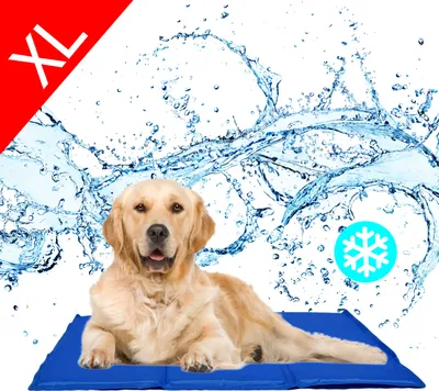 Produktbild von XL Kühlmatte Kühlkissen Hunde Katze Tier Selbstkühlende Abkühlung Kühldecke