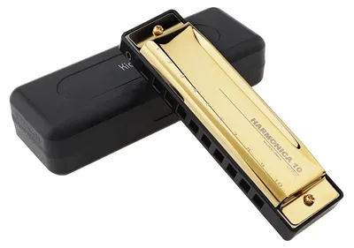 Immagine prodotto di Armonica blues, tonalità di Do, 10 fori, con custodia e panno per la pulizia