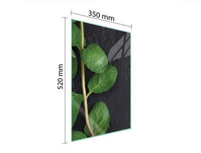 Obrázek produktu pro Skleněné prkénko na krájení 35x52 mint